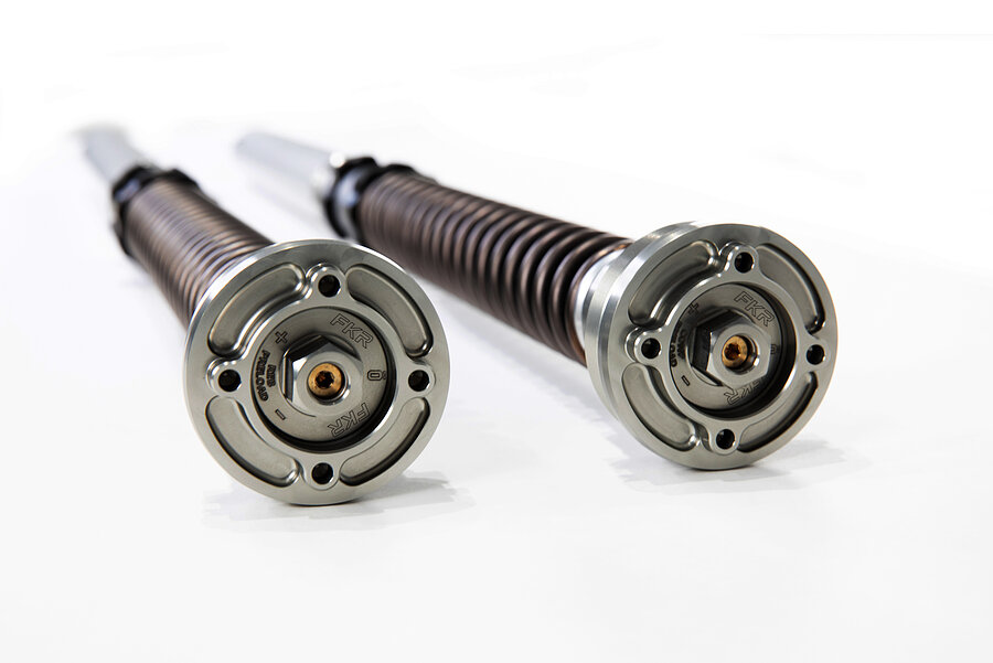 FORLORN - Forlorn ヴァイキング Ohlins Racing FKR 223 Pressurized Fork Cartridge Kit - Kawasaki ZX